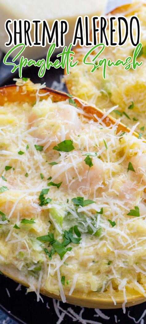 Creamy Spaghetti Squash With Shrimp, Spaghetti Squash Seafood Recipes, Seafood Spaghetti Squash, Shrimp Alfredo Spaghetti Squash, Spaghetti Squash Alfredo Recipes, Spaghetti Squash Recipes With Shrimp, Shrimp And Spaghetti Squash, Spaghetti Squash With Shrimp, Shrimp Spaghetti Squash