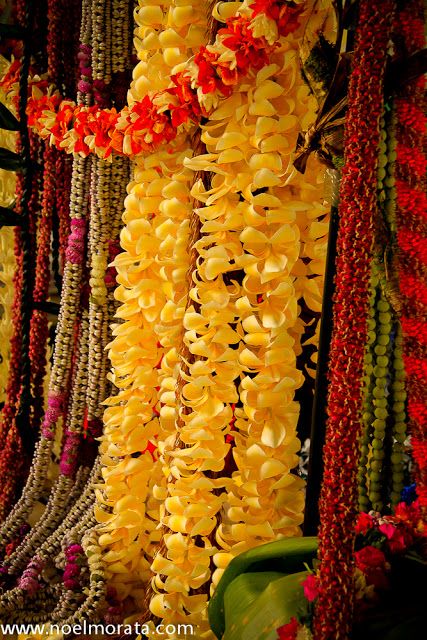 A collection of fresh leis Hawaii Culture, Polynesian Beauty, Lei Day, Joyful Colors, Lei Making, Hawaiian Leis, Hawaii Flowers, Flower Lei, Hawaiian Lei