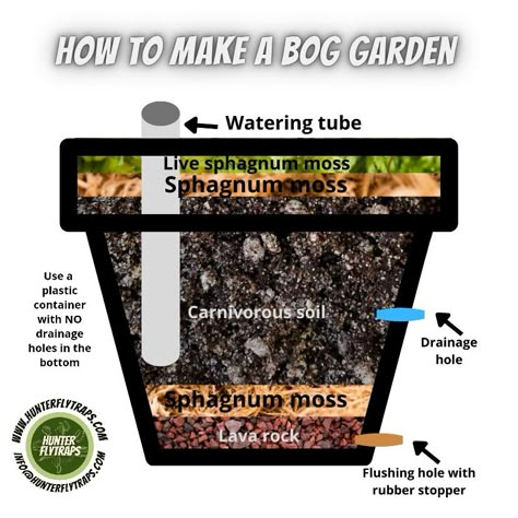 Bog Planter Ideas, Bog Terrarium Ideas, Bog Garden Ideas, Indoor Bog Garden, Bog Gardens, Carnivorous Plants Terrarium Ideas, Bog Garden Plants, Mini Bog Garden, Container Bog Garden