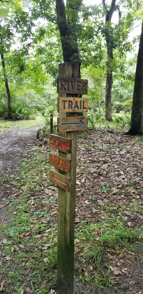 While Silver Springs State Park has miles upon miles of trails split between many different paths, we’re partial to what is nicknamed the Silver River Trail — a combination of the Swamp Trail and River Trail. Bioluminescent Plankton, Outdoor Bridges, Park Signage, River Retreat, Shade Tolerant Plants, Wooden Carved Signs, Trail Signs, Wayfinding Signs, Snowshoes