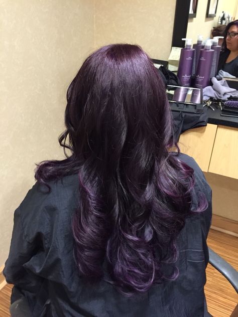 Midnight Hair Purple, Dark Purple Streaks In Black Hair, Dark Purple Hair Without Bleach, Dark Eggplant Hair Color, Really Dark Purple Hair, Very Dark Purple Hair, Purple Hair Gloss, Purple Dye On Black Hair, Purple Hair No Bleach