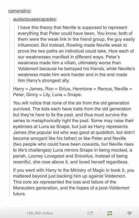 Harry Potter Fan Theories, Harry Potter Theories, Harry Potter Next Generation, Harry Potter New, Harry Potter Halloween, Harry Potter Tumblr, Harry Potter Headcannons, Harry Potter 2, Harry Potter Fanfiction