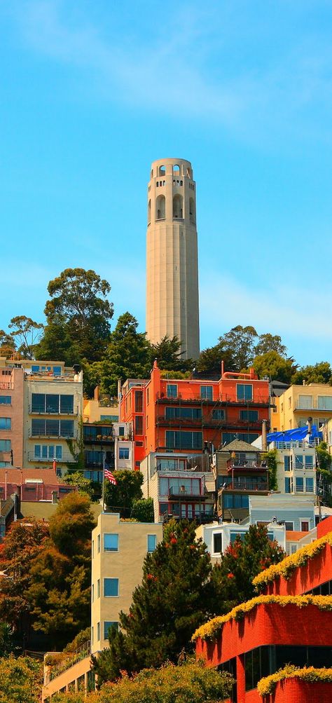 Coit Tower San Francisco, California Cities, City Inspiration, San Francisco Photos, City Skylines, San Francisco City, Cots, California Dreamin', San Fran