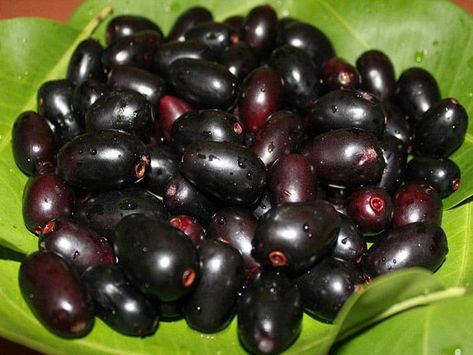 Jamun Fruit Benefits Jamun Fruit, Benefits Of Berries, Fruit Benefits, Diet Vegetarian, 1 Tattoo, Health Products, Healthy Foods, Blood Pressure, Home Remedies