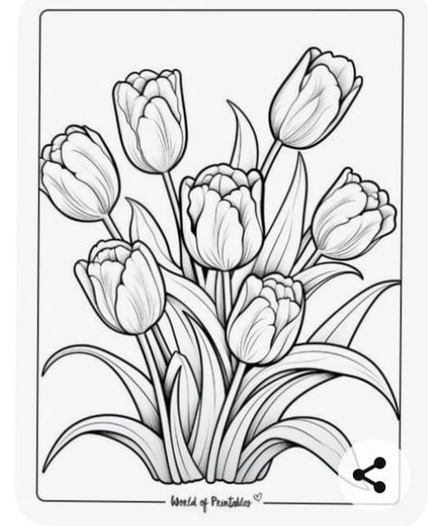 Floral Colouring Pages, Cute Flower Sketches, Printable Watercolor Coloring Pages, Flower Coloring Sheets Free Printable, Floral Coloring Pages Free Printable, Tulip Coloring Pages, Spring Coloring Sheets Free Printables, Colouring Pages Flowers, Free Coloring Pages Printables Adults