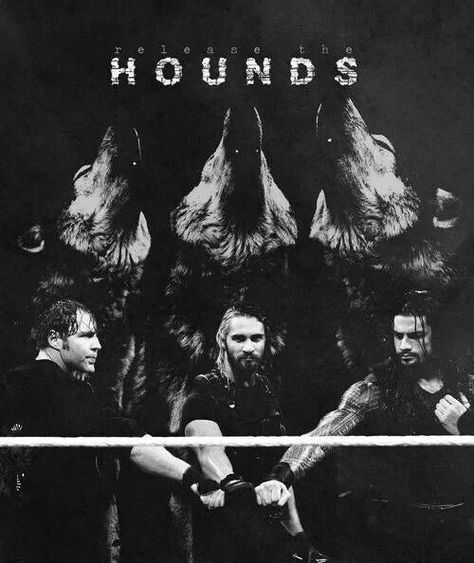 The hounds of justice Wwe The Shield, Wwe Shield, Dean Ambrose Seth Rollins, Male Wrestlers, Shield Wwe, Wwe Logo, Moms Photography, The Shield Wwe, Wwe Tna