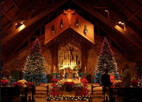 Tree in Church at Christmastime Christmas Scenes Wallpaper, Christmas Wallpaper Hd, Church Christmas Decorations, Beautiful Christmas Scenes, Christmas Wallpaper Free, Scene Wallpaper, Christmas Church, Christmas Scenery, Real Christmas