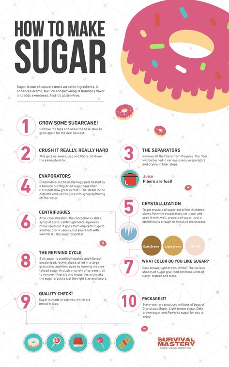 How To Make sugar infographic Sugar Infographic, Out In Nature, Creative Infographic, Cooking Basics, Sugar Cane, Emergency Preparedness, Useful Life Hacks, In Nature, Meal Planning