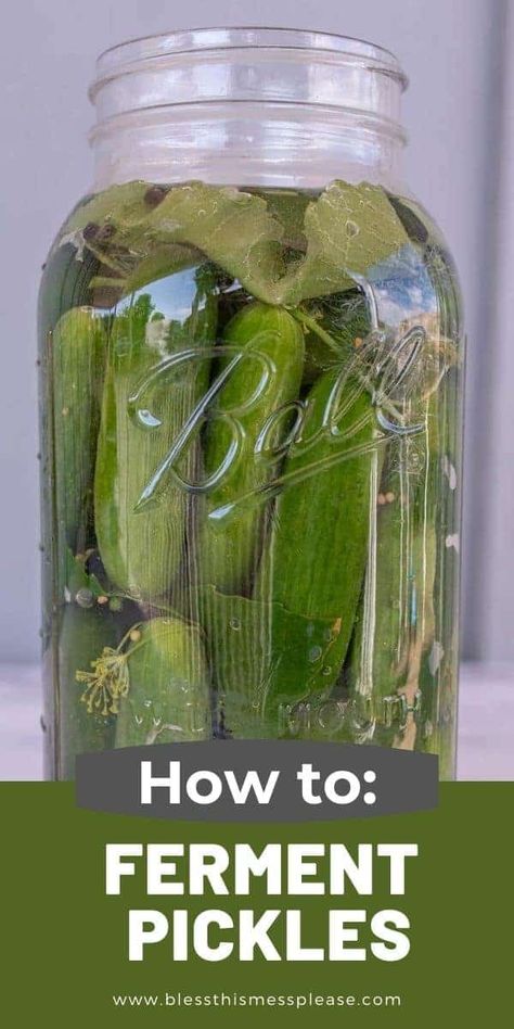 Fermented Pickles Recipe, Fermenting Pickles, Fermented Dill Pickles, Lacto Fermented Pickles, Garlic Pickles, Basic Brine, Fermented Vegetables Recipes, Lacto Fermented, How To Make Pickles