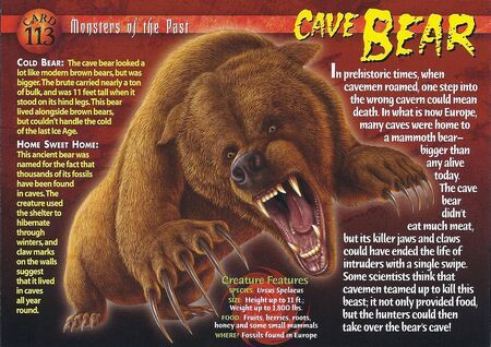 Cave Bear, Wild Animals Pictures, Wild Creatures, Extinct Animals, The Cave, Prehistoric Creatures, Animal Species, Animal Facts, Creature Feature