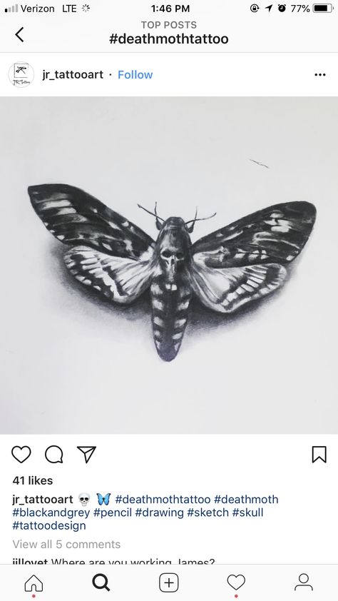 Deathshead Moth Tattoo Design, Moth Tattoo Stencil, Deathshead Moth, Moth Tattoo Design, Goth Things, Beauty Marks, Moth Tattoo, Animal Spirit, Awesome Tattoos