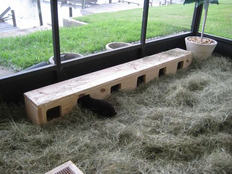 Rabbit Colony: After | These are the nest boxes. It's basica… | Flickr Rabbit Colony, Rabbit Farming, Farming Tips, Raising Rabbits For Meat, Rabbit Enclosure, Rabbit Habitat, Rabbit Farm, Nest Boxes, Meat Rabbits