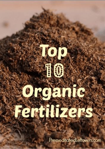 Garden Fertilizers, Banana Peels, Organic Pesticide, Natural Fertilizer, Coffee Grinds, Meteor Garden 2018, Banana Peel, Organic Garden, Organic Gardening Tips