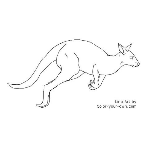 Kangaroo Coloring Page Kangaroo Coloring Page, Black And White Line Drawings, Kangaroo Drawing, Color Knowledge, Cute Sketches, Line Drawings, Black And White Lines, White Line, Diy Prints