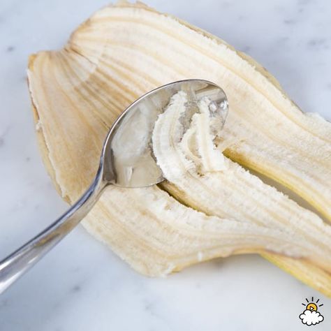 How Do I Use A Banana Peel For My Health? Banana Peel Uses, Excellent Health, Banana Peels, Calendula Benefits, Fruit Health Benefits, Matcha Benefits, Lemon Benefits, Coconut Health Benefits, Stomach Ulcers