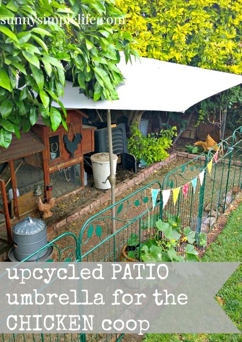 patio umbrella provides shade and protection for chicken coop Chicken Coop With Run Underneath, Backyard Shade Ideas, Chook House, Garden Chickens, Chicken Coop Backyard, Outdoor Hobbies, Backyard Chicken Coop, Laying Chickens Breeds, Best Egg Laying Chickens