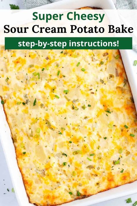 This Sour Cream Potato Bake Recipe is the ultimate comfort food, perfect for potlucks and Sunday dinners. Made with russet potatoes, creamy sour cream, sharp cheddar cheese, and fresh green onions, it's a side dish that'll be gone in no time. Plus, you can make it ahead and bake when ready! Sour Cream And Onion Smashed Potato Casserole, Scalloped Potatoes Sour Cream And Chives, Cheesy Sour Cream Potatoes, Potato Bake With Sour Cream, Sour Cream Potatoes Casserole, Sour Cream And Potato Recipes, Sour Cream Potato Bake, Potatoes And Sour Cream Recipe, Potato And Sour Cream Recipes