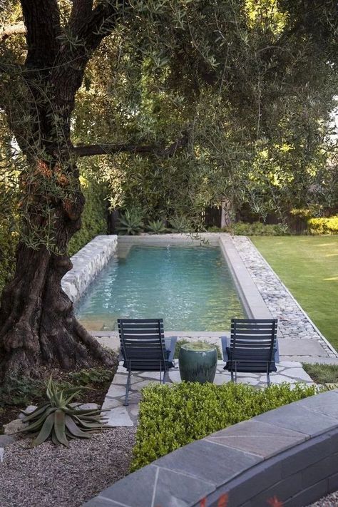 small backyard swimming pool with a stone surround under an old tree #Outdoor #Pool #Decor #Ideas #PoolDecorIdeas Small Swimming Pools, Small Pool Design, Natural Swimming Pools, Natural Swimming Pool, Small Pools, Dream Pools, Backyard Pool Designs, Swimming Pools Backyard, Natural Pool