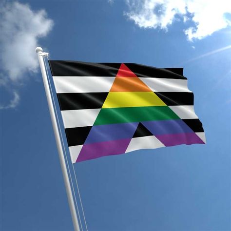 Straight Ally Flag Aesthetic, Straight Ally Aesthetic, Ally Flag, Straight Ally Flag, Gb Flag, Lgbt Ally, Straight Ally, Minecraft Mobs, Lgbt Flag