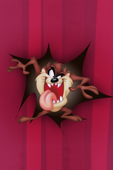 Taz Tax Cartoon, Taz Wallpaper, Tazmania Devil, Tasmanian Devil Cartoon, Tasmanian Devil Looney Tunes, Garfield Wallpaper, Looney Tunes Wallpaper, Iphone Cartoon, Cartoons Hd