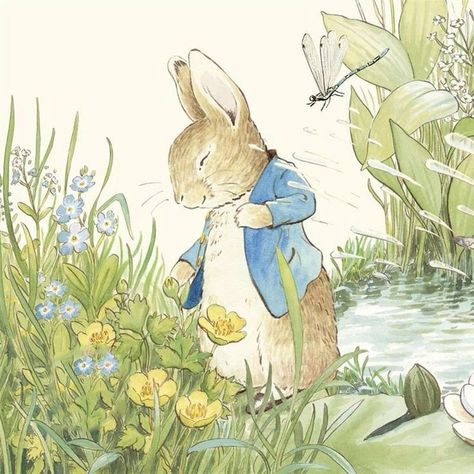 Peter Rabbit Wallpaper, Painting In Nature, Peter Rabbit Pictures, Peter Rabbit Illustration, Life In The Countryside, Beatrix Potter Illustrations, Peter Rabbit Books, Beatrice Potter, Peter Rabbit And Friends