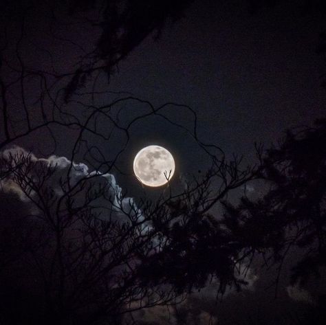 goodnight world. - playlist by izz | Spotify Widgetsmith Pictures, The Moon Aesthetic, Aesthetic Moonlight, Goodnight World, Success Art, Life Wallpaper, The Black Hole, Love Moon, The Moon Is Beautiful