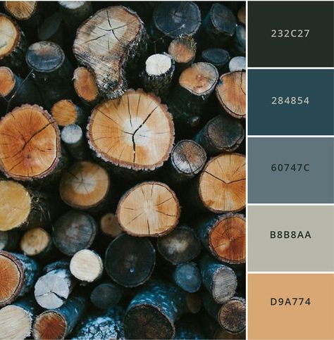 Ski Lodge Color Palette, Art Website Color Palette, Colors That Go With Tan Walls, Color Palette Behr Paint, Mountain House Color Palette, Colored Kitchen Ideas, Color Inspiration Colour Palettes, Jewel Tones Color Palette, Home Decor Color Palettes