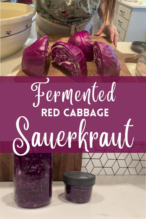 Fermented Sauerkraut Recipes, Sourkrout Recipes, Red Cabbage Sauerkraut, Fermented Vegetables Recipes, Pickled Red Cabbage, Fermented Sauerkraut, Red Cabbage Recipes, Sauerkraut Recipe, Healthy Honey