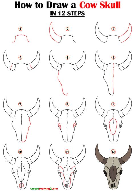 How to Draw a Cow Skull in 12 Easy Steps (with Video Tutorial) How To Draw A Cow Skull Step By Step, How To Draw A Cow Skull, How To Draw Western Things, How To Draw Skulls, Cow Skull Drawing, Western Drawing Ideas, Western Painting Canvas, Draw Lesson, Drawing Thoughts