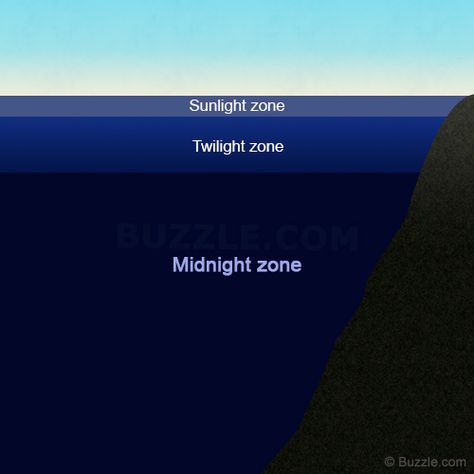 Zones Of The Ocean, Midnight Zone Ocean, Ocean Zones, Ocean Science, 3d Light, Velvet Wallpaper, Free Preschool Worksheets, Dreams And Nightmares, Spring Equinox