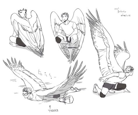 for feathers great and small : Photo Flying Poses Reference Wings, Wings Poses, Epic Soldier, Winged Human, Human Wings, Base Draw, Drawings Of People, Winged People, Body Ideas