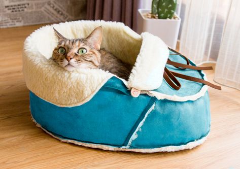 Farmhouse Cat Furniture, Diy Cat Bed Easy, Unique Cat Bed, Small Pet Bed, Rabbit Bedding, Cat Couch, Modern Cat Furniture, Bed Modern, Dog Beds For Small Dogs