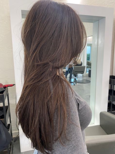 Box Layers With Face Framing, Brunette Layered Hair Medium Straight, Trifecta Face Frame, Long Soft Face Framing Layers, Front Frame Haircut, Feathered Face Framing, King Layers With Face Framing, Tapered Layers Long Hair Face Framing, Long Blended Layers Face Framing Straight Hair