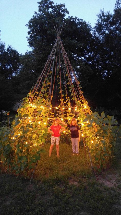 Teepee Trellis Diy, Garden Teepee Trellis, Green Bean Teepee, Pumpkin Teepee, Sweetpea Teepee, Sweet Pea Teepee, Flower Teepee, Pea Teepee, Teepee Garden