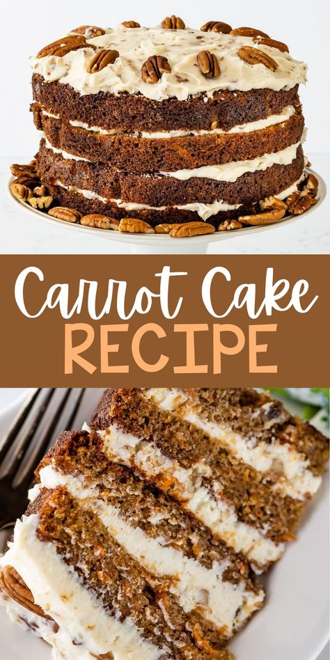 This is the BEST Carrot Cake Recipe EVER - a simple moist cake recipe with cream cheese frosting and tons of toasted pecans. The perfect cake for beginners! Classic Carrot Cake Recipe, Carrot Cake Frosting, Best Carrot Cake Recipe, Easter Dessert Ideas, Carrot Cake Recipe Easy, Homemade Carrot Cake, Moist Carrot Cakes, Easy Carrot Cake, Jello Shot