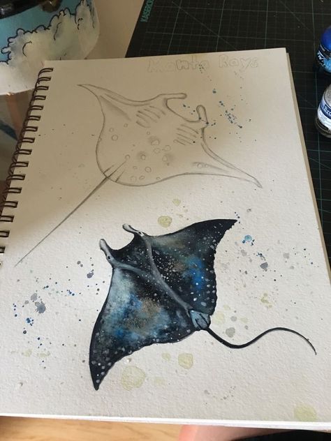 Drawings Of Stingrays, Manta Ray Watercolor Paintings, Stingrays Drawings, Mantaray Watercolor, Stingray Art Painting, Stingray Drawing Art, Manta Painting, How To Draw A Stingray, Mantaray Painting