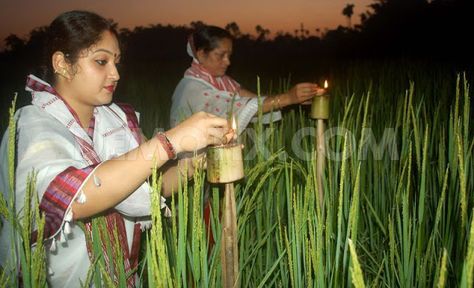 Kati Bihu Assam, Kati Bihu, Bihu Assam, Good Morning Life Quotes, Love Status, Girl Dresses, Image Types, Google Images