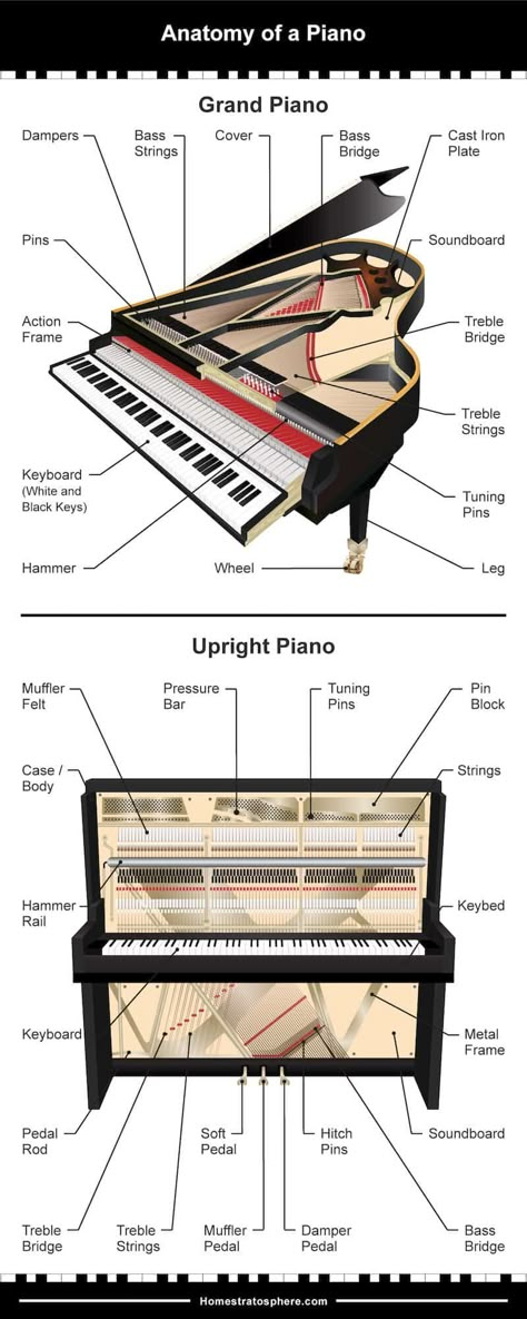 Piano Crafts, Group Piano Lessons, Piano Teaching Games, Music Theory Piano, Piano Pedagogy, Piano Chords Chart, Music Theory Lessons, Piano Parts, Piano Music Lessons