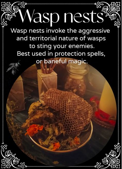 Baneful Magic Ingredients, Baneful Protection Spell, Baneful Spells, Baneful Magick Spells, Magical Wards, Sour Jar, Baneful Herbs, Baneful Magick, Hoodoo Conjure Rootwork