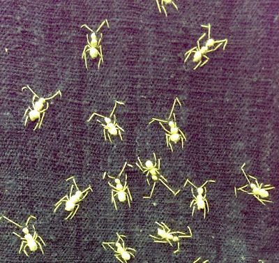 Ants embroidered on a shirt. Church Entrance, Study Group, Visible Mending, Antique Show, Entrance Door, Hand Embroidery Art, Shirt Embroidery, Madison Avenue, Embroidery Kit