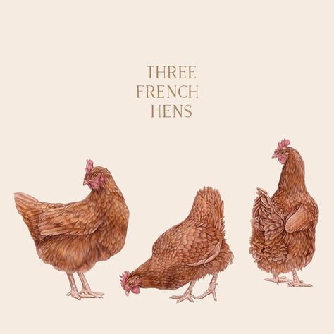 Three French Hens, French Hens, Chicken Drawing, Ceramic Christmas Decorations, Christmas Bird, Twelve Days Of Christmas, Country Crafts, Bird Cards, Card Illustration