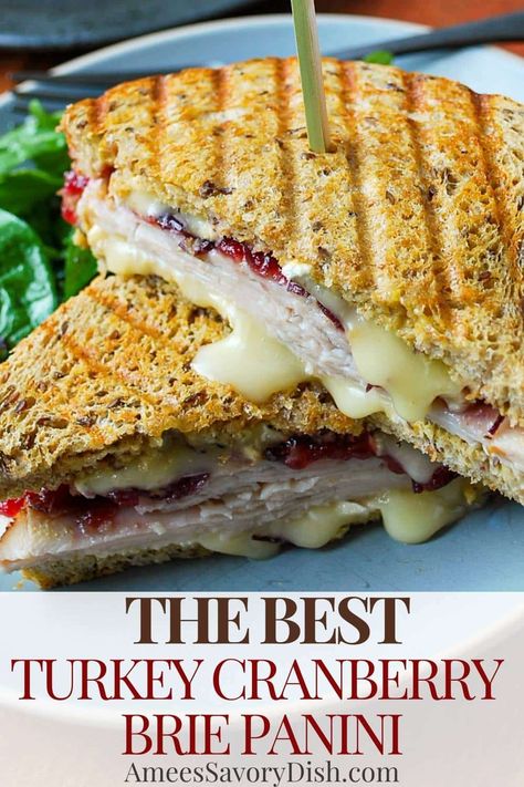 Turkey Apple Cheddar Panini, Brunch Special Ideas, Orange Cranberry Club Sandwich, Wraps Recipes Turkey, Turkey Apple Brie Sandwich, Turkey And Brie Sandwich, Winter Sandwich Ideas, Fall Camping Food Ideas, Hot Turkey Sandwich Recipes