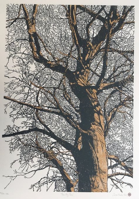 Woodcut Printing, Tree Drawings, Woodcut Art, Art Top, Tree Artwork, Woodcuts Prints, Tree Graphic, Big Tree, Tree Drawing