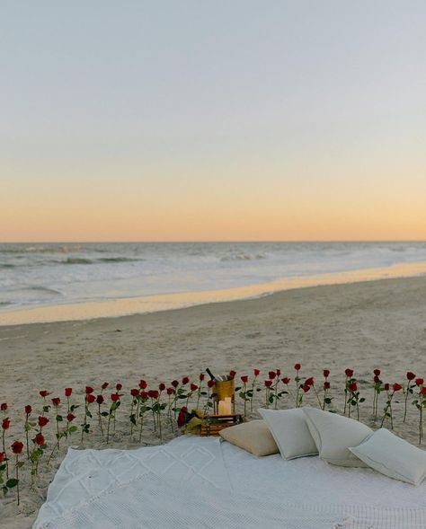 Roses + beach + sunset = proposal perfection 😍🌹 📷 : @beachpicnicco #evite #beach #proposal #roses #beachproposal Will You Be My Girlfriend Proposal Ideas Beach, Florida Proposal Ideas, Beach Proposal Simple, Beach Sunset Proposal, Beach Proposal Setup Simple, Wedding Proposals Beach, Proposal Astethic, Simple Engagement Ideas Proposal, Pretty Proposals