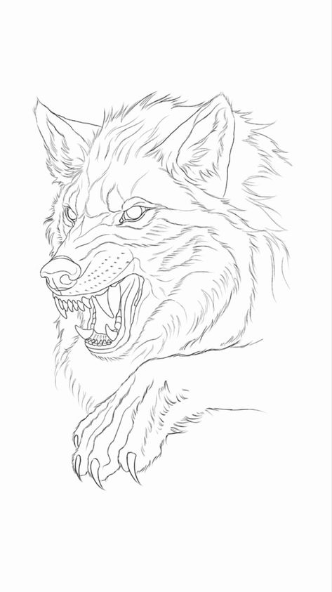 Wolf Tattoo Template, Animal Tattoo Sketch, Snarling Wolf Drawing, Wolves Tattoo Design, Wolf Dragon Tattoo, Wolf Head Outline, Howling Wolf Tattoo Design, Wolf Tattoo Outline, Wolf Tattoo Drawing