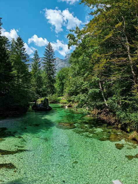 Bohinj Lake, Bohinj Slovenia, Annual Leave, Places Worth Visiting, Julian Alps, Lake Water, Water Activities, Hidden Gem, Wanderlust Travel