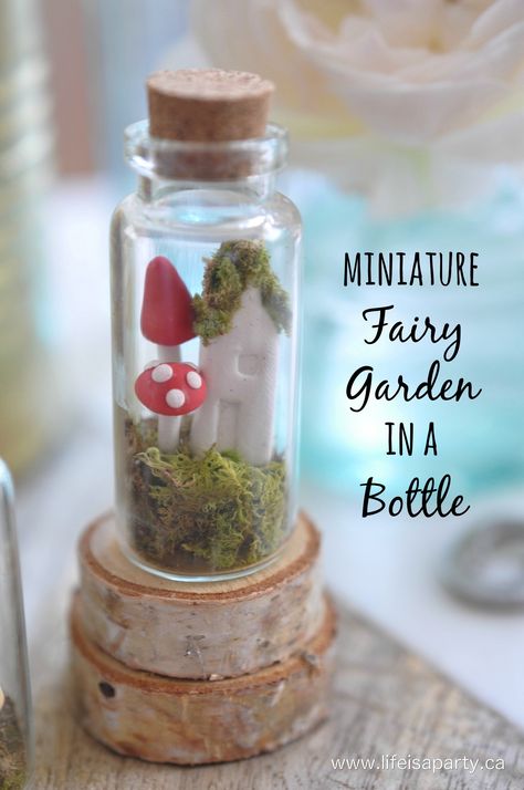 Garden In A Bottle, Teen Crafts, Table Garden, Garden Door, Diy Crafts For Teens, Tiny Jars, Miniature Fairy Garden, Mini Glass Bottles, Clay Fairies