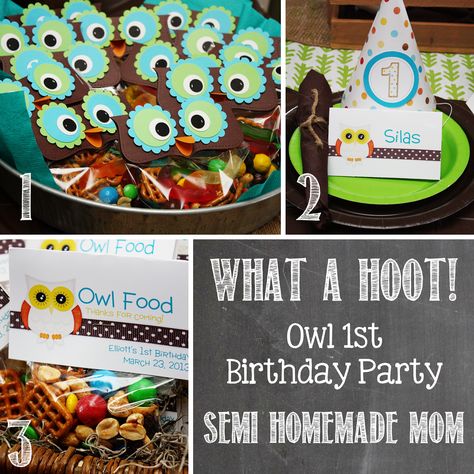 Mostly Homemade Mom: Owl 1st Birthday Party Owl Party Decorations, Owl Themed Birthday Party, Owl 1st Birthdays, Owl Food, Owl Themed Parties, Owl Toy, Owl Birthday Parties, 70th Birthday Card, Owl Birthday