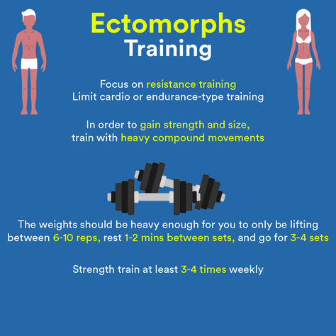 Workout For Ectomorph, Ectomorph Women Workout, Ectomorph Workout For Women, Ectomorph Diet Plan, Ectomorph Women, Taylor Swift Kendall Jenner, Ectomorph Diet, Weight Lifting Schedule, Ectomorph Body