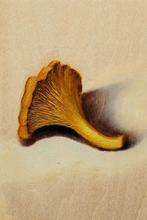 Mushroom Still Life, Real Mushroom Art, Mushroom Oil Painting, Mushroom Mycelium Art, Mishroom Artwork, Still Life Oil Painting Fruit, Figurative Art Painting, Mushroom Paint, Painting Canvases